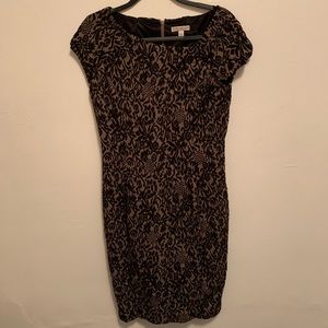 🦋 Eva Mendes New York & Co Dress Size 8